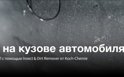 Насекомые на кузове автомобиля: чем они опасны и как защитить ЛКП с помощью Insect & Dirt Remover от Koch-Chemie Насекомые на кузове автомобиля: чем они опасны и как защитить ЛКП с помощью Insect & Dirt Remover от Koch-Chemie