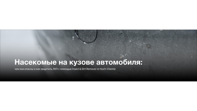 Насекомые на кузове автомобиля: чем они опасны и как защитить ЛКП с помощью Insect & Dirt Remover от Koch-Chemie